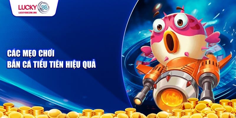 Mẹo chơi bắn cá tiểu tiên tại lucky88 hiệu quả